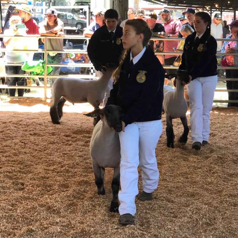 Meet your Posher, Hannah